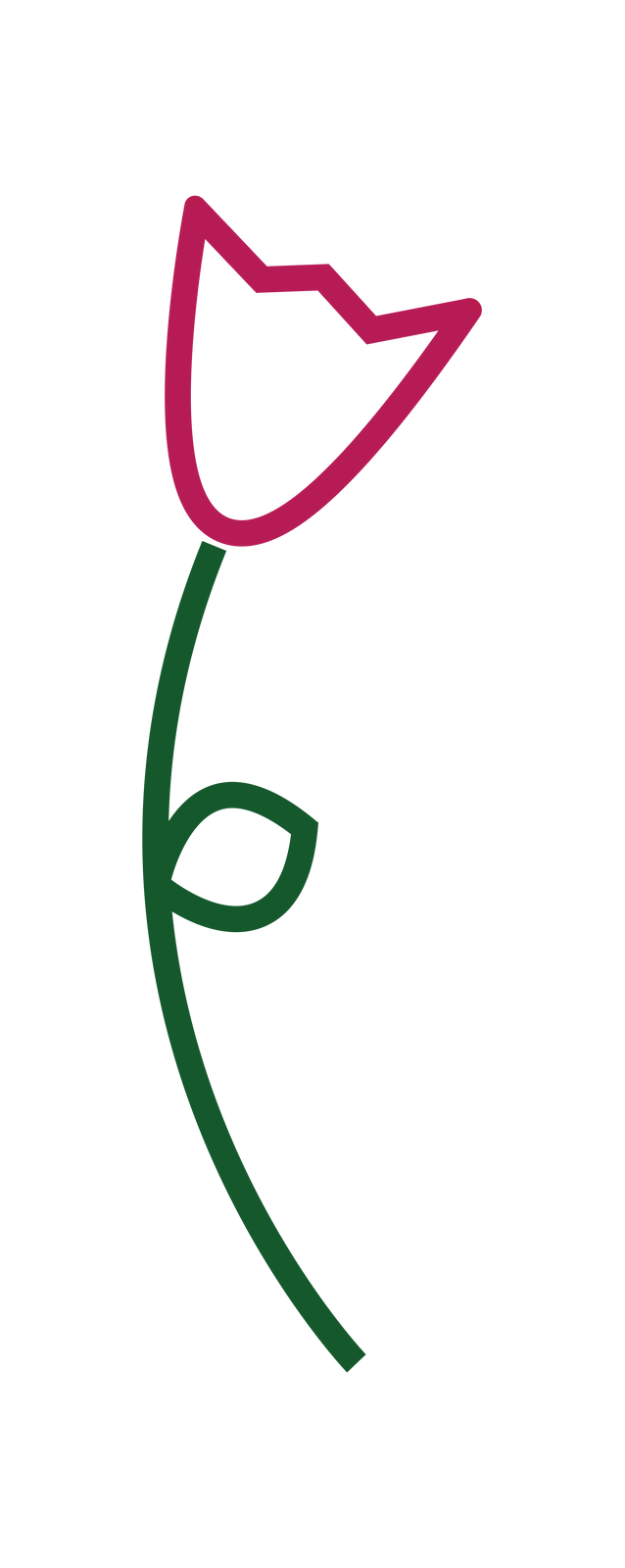 Tulip Graphic.png
